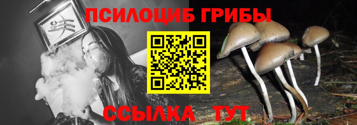 Куйбышев  Псилоцибиновые грибы мицелий  Вход с VPN  Галлюциногенные грибы ЛСД 
